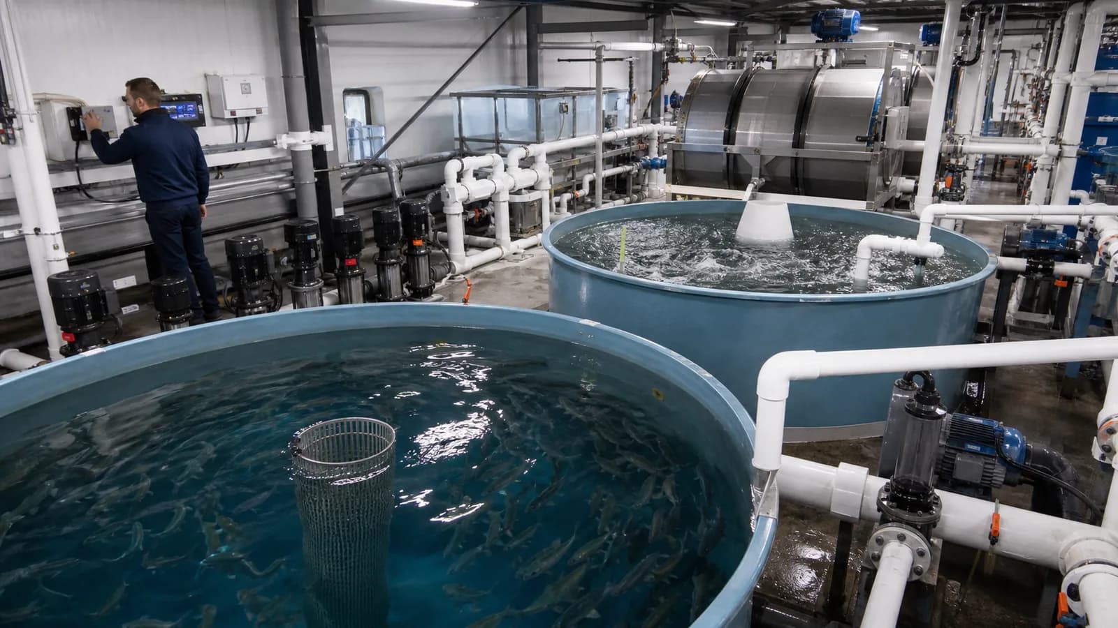 RAS-viskwekerij met bassins, pompen, filters en continu draaiende beluchting
