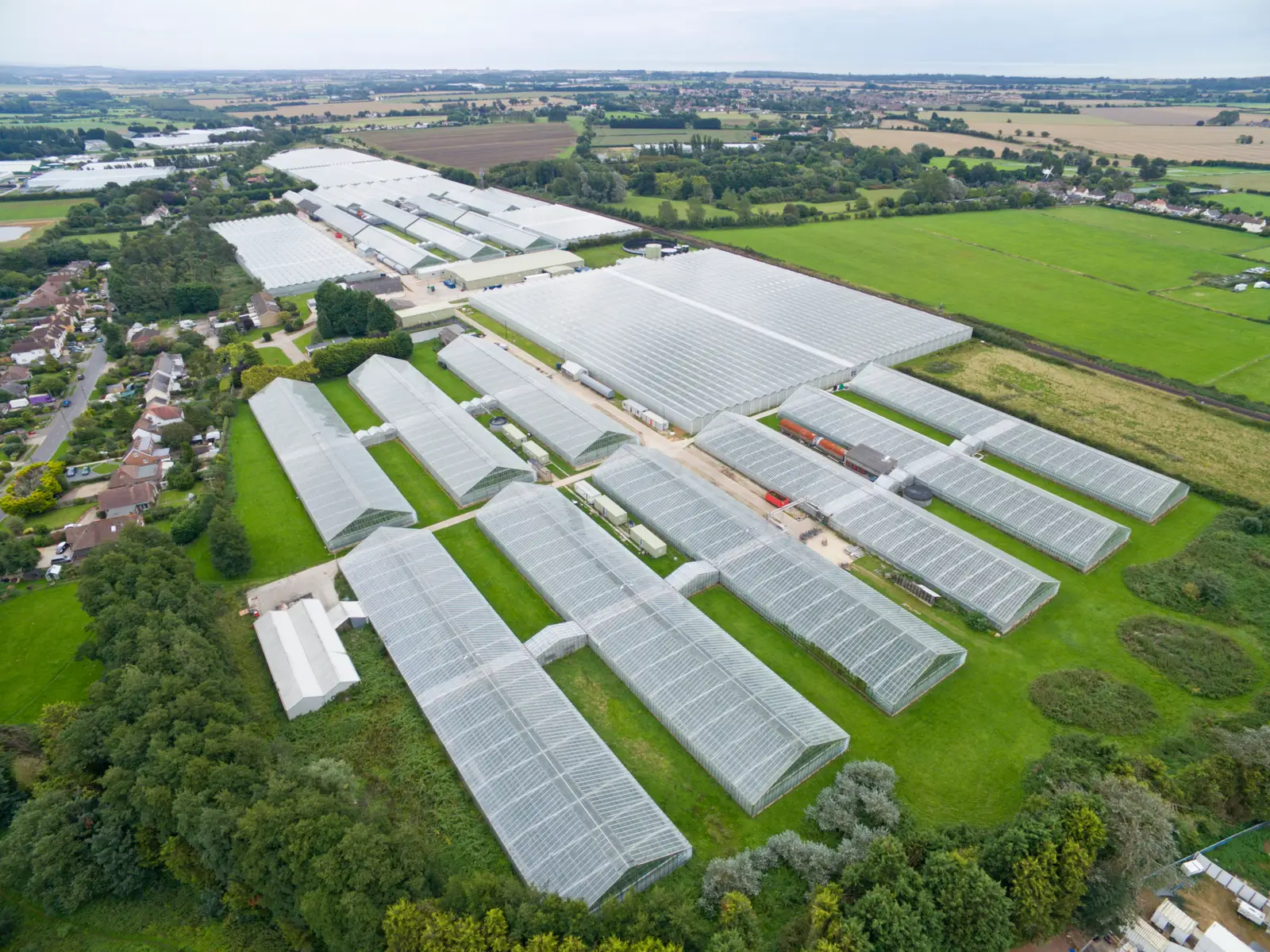 Greenhouse horticulture: The approach